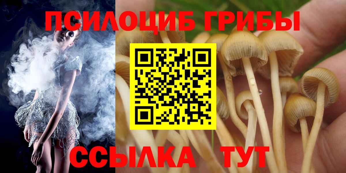 Псилоцибиновые грибы мицелий Костомукша
